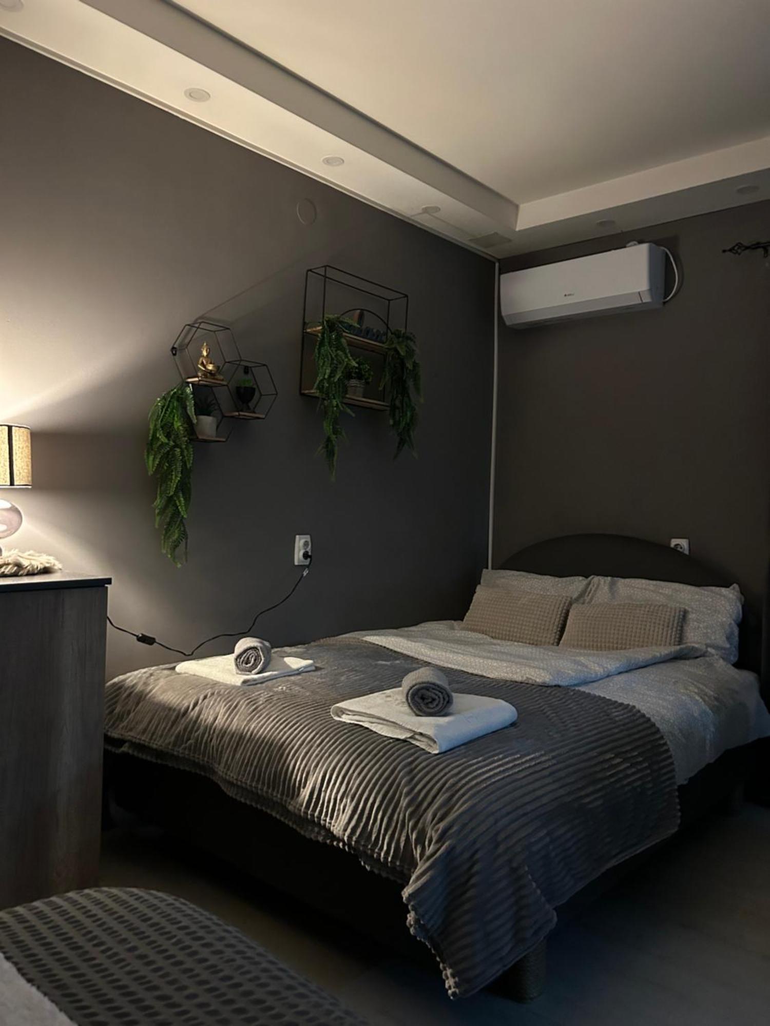 Beta House Apartments Zaječar Dış mekan fotoğraf